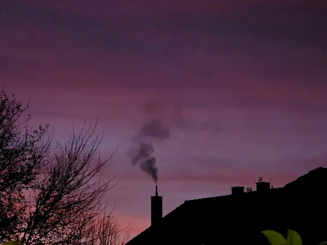 Mit 0,2 Grad etwas frisch 🥶 | Foto: Heidrun Rosenberger 