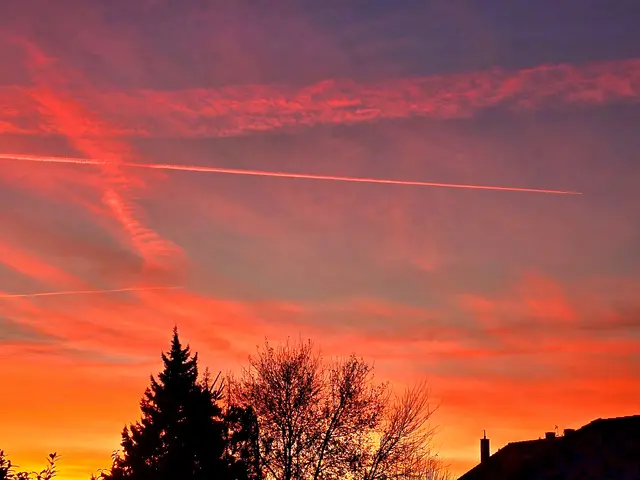 Wunderschön  | Foto: Heidrun Rosenberger 