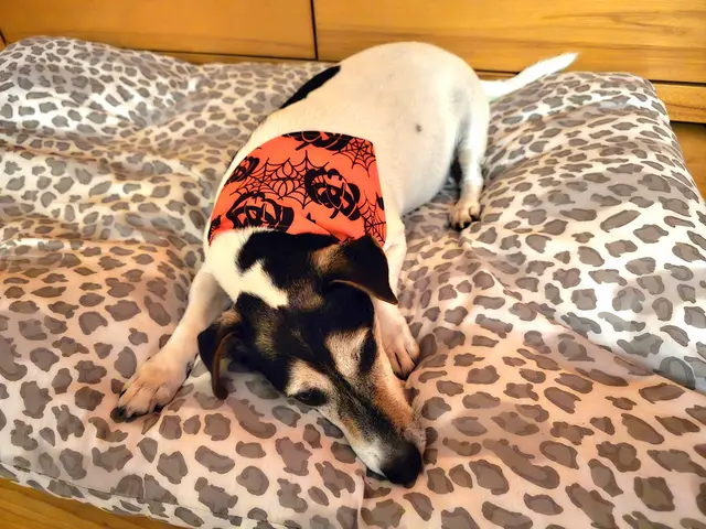 Ich bin ganz kaputt  | Foto: Heidrun Rosenberger 