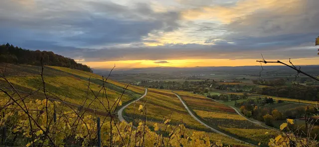 herbstlicher Sonnenaufgang | Foto: Angelika Rampmeier