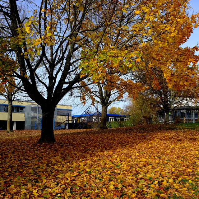 Foto: Eduard Warenik