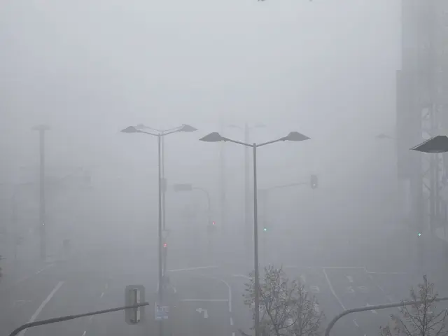 Wie man sieht, sieht man nix | Foto: Heidrun Rosenberger 