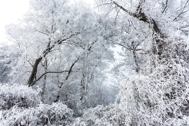 Tor zum Wintermärchen | Foto: Egon Groß