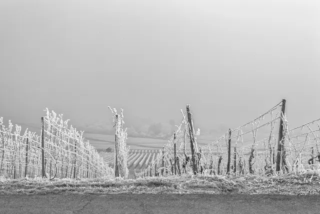 Wintereinbruch am Heuchelberg | Foto: Egon Groß