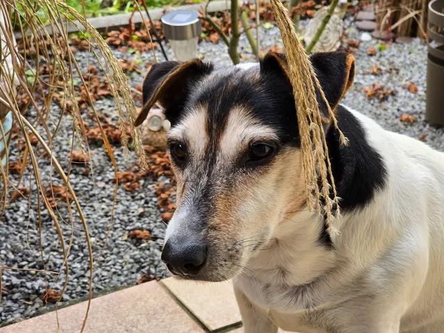 Foto: Heidrun Rosenberger 