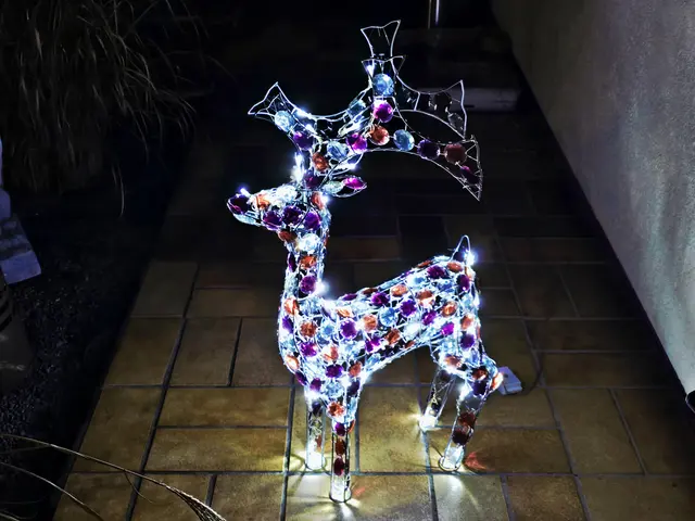 Foto: Heidrun Rosenberger 