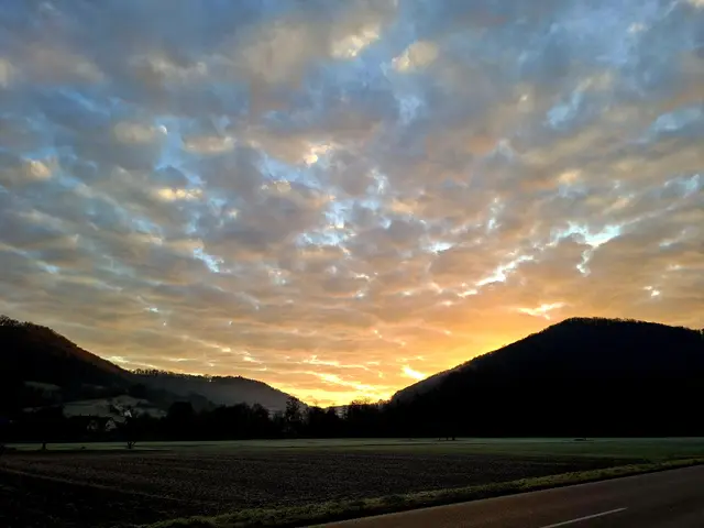 Morgenerwachen im Bühlertal | Foto: Ralf Röser