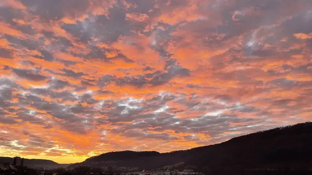 Foto: Doris Reichert