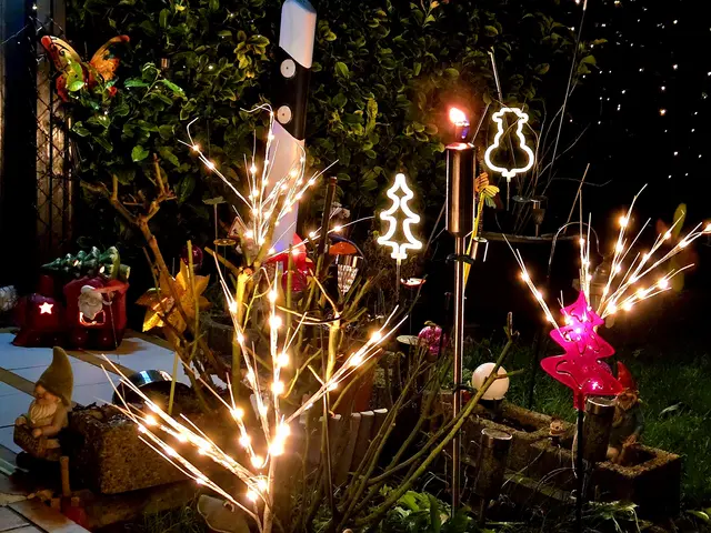 Foto: Heidrun Rosenberger 