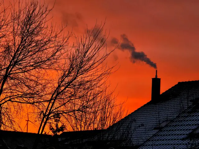 einen schönen guten Morgen in diesem Jahr 💚 | Foto: Heidrun Rosenberger 