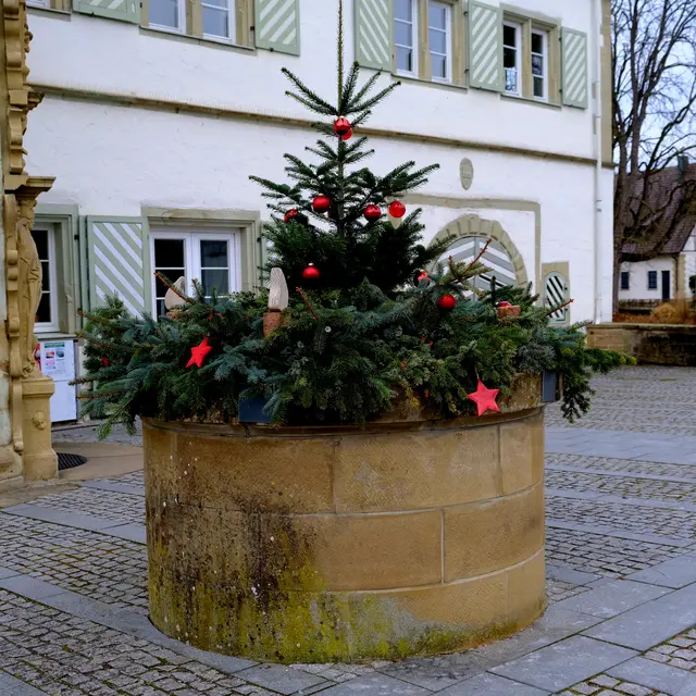 Bad Rappenau, Wasserschloss.  | Foto: Eduard Warenik 