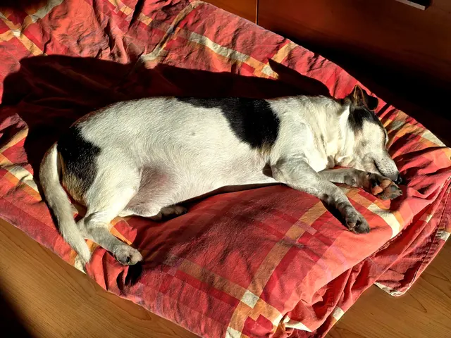 Foto: Heidrun Rosenberger 