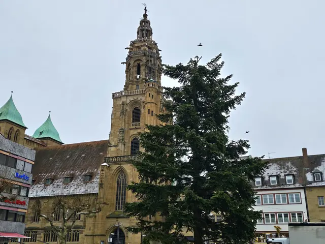 Jetzt haben sie den armen Kerl "geköpft". | Foto: Heidrun Rosenberger 