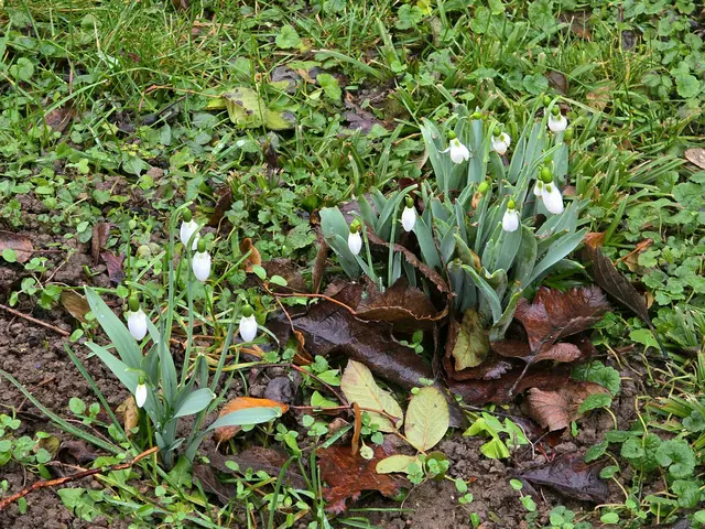Foto: Heidrun Rosenberger 