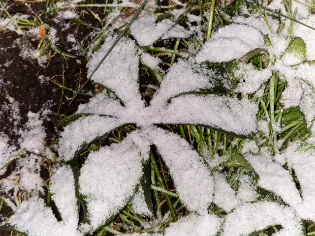 Foto: Heidrun Rosenberger 