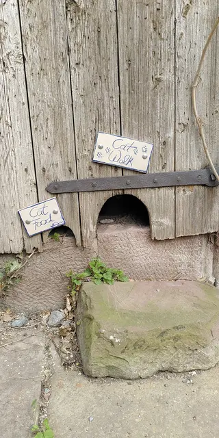 Gesehen im Kloster Maulbronn. | Foto: Martina Wolf 