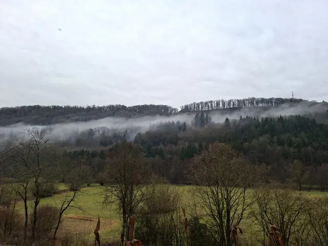 schöne Nebelschwaden hinterm Haus | Foto: Ralf Röser