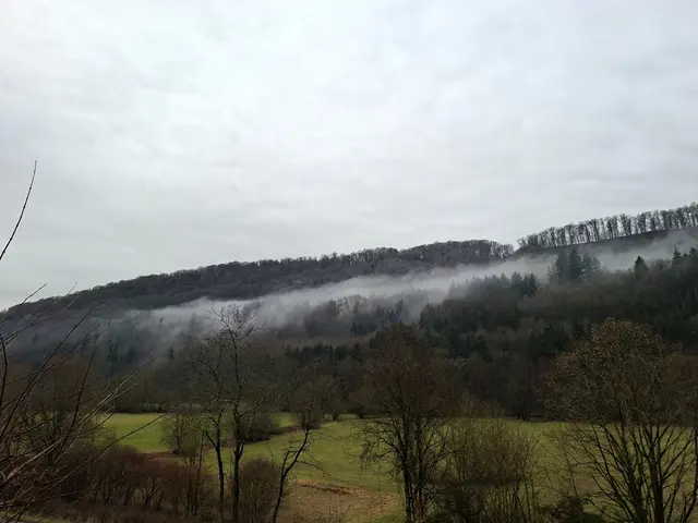 schöne Nebelschwaden hinterm Haus | Foto: Ralf Röser