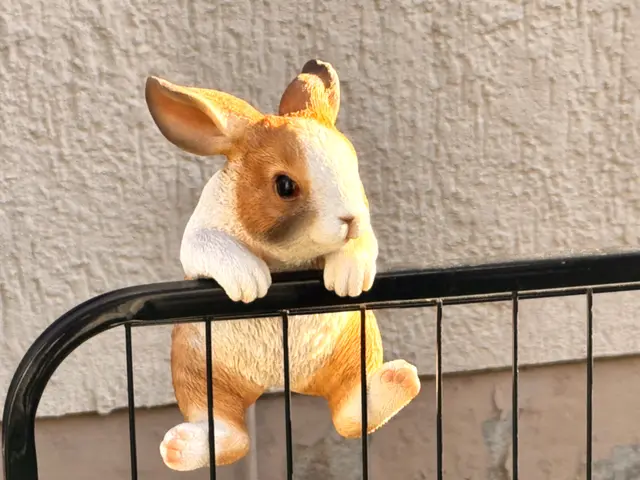 Foto: Heide Böllinger aus Bad Friedrichshall