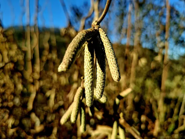 einfach schee die Würschtle😻 | Foto: Ralf Röser