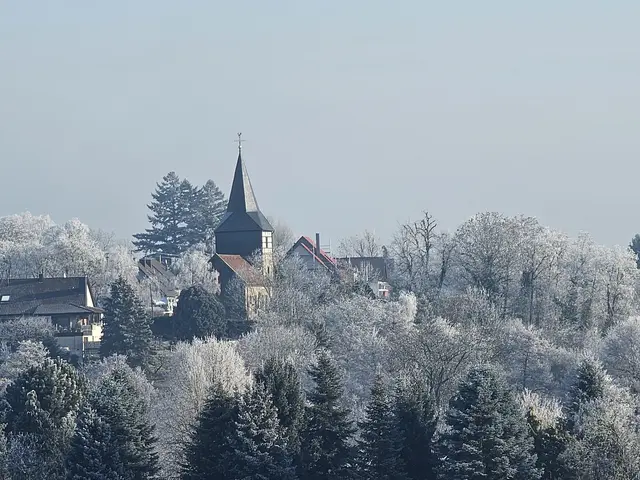 Bedeckt mit Reif, die Luft voller Eispartikelchen und daher "dunstig", sieht Frauenzimmern von Güglingen her kommend geradezu zauberhaft aus. | Foto: Helga El-Kothany 
