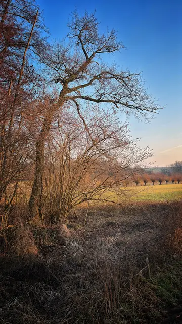 Winterlandschaft bei HN-Biberach | Foto: Eigenes Foto von GT