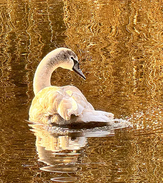 Foto: Heide Böllinger aus Bad Friedrichshall