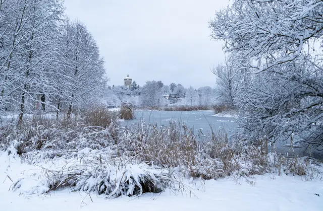 Ein seltener Anblick - Schnee im Ziegeleipark | Foto: Egon Groß