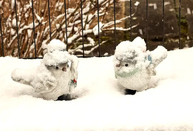 Foto: Heide Böllinger aus Bad Friedrichshall