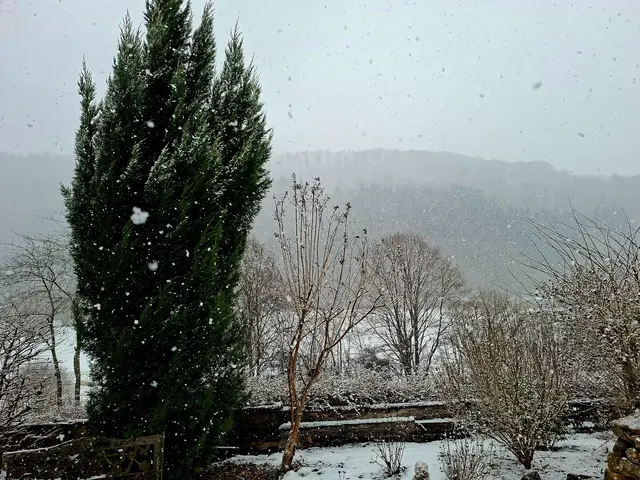 ❄️Schneeflöckchen❄️ | Foto: Ralf Röser