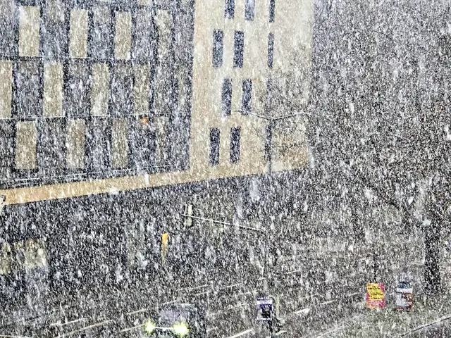Wow | Foto: Heidrun Rosenberger 