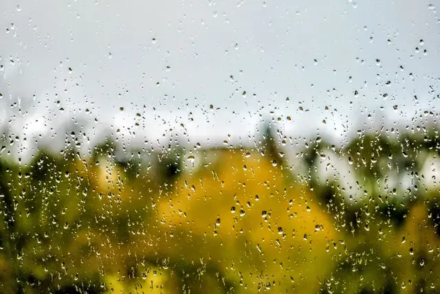 Regentropfen an mein Fenster klopfen 🎶🎶🎶 | Foto: Martina Wolf 