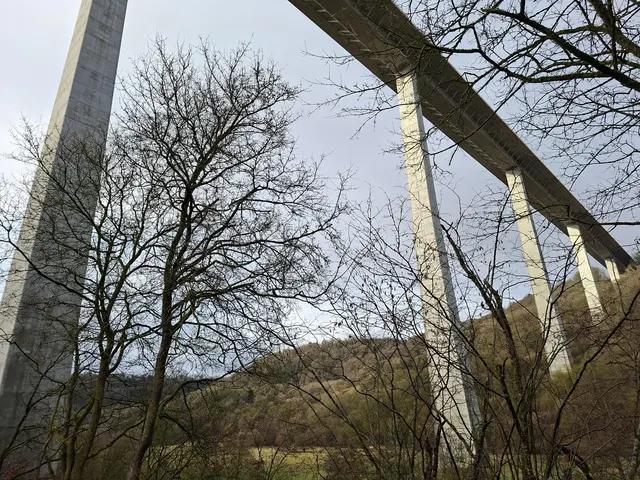 Blick von unten | Foto: Ralf Röser