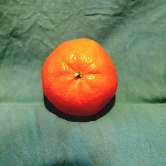 Foto: Eduard Warenik 