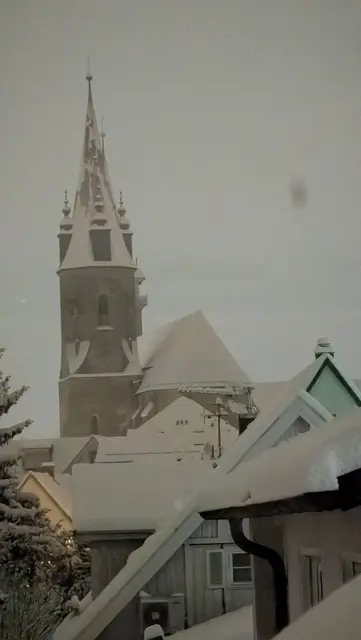 Das Bild des Monats Januar: fast 50 cm Neuschnee bedeckte die Dächern weiß in Öhringen. Vor allem die Stiftskirche mit ihren wunderschönen Phänomenen Nahaufnahmen.  | Foto: Volker Wagner 