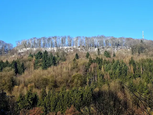 Hinterm Haus- sieht gut aus- oben ist es noch kälter🥶 | Foto: Ralf Röser