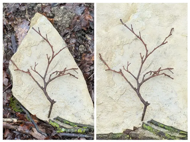 Foto: Eigene Aufnahme 