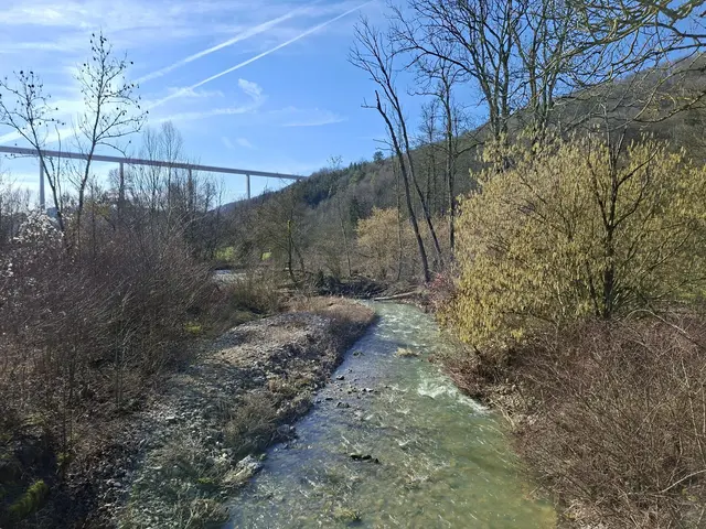 Der Grimmbach fließt gemächlich in den Kocher | Foto: Ralf Röser