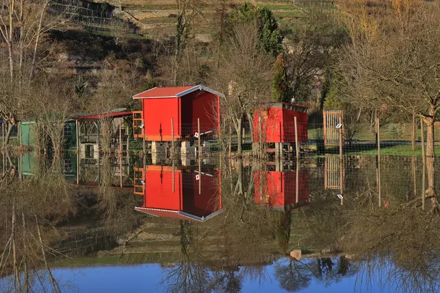 Überflutete Wiesen entlang der Zaber in Lauffen am Neckar | Foto: Frank-M. Zahn