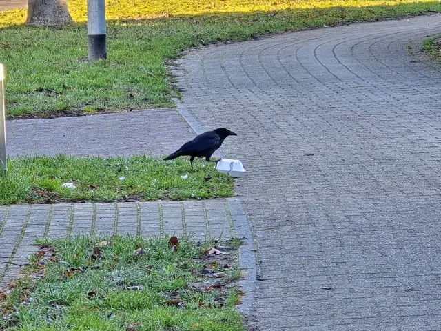 Foto: Heidrun Rosenberger 