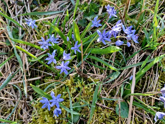 schee🌞🪻 | Foto: Ralf Röser