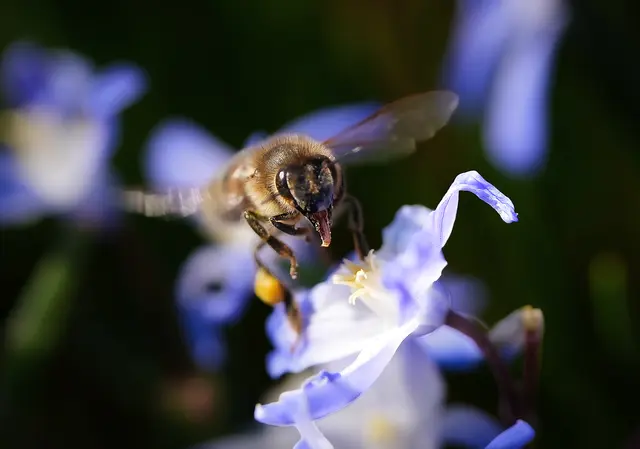 Foto: Moni Bordt
