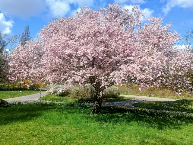 Ziegeleipark in Weinsberg | Foto: Michael Ruhland 