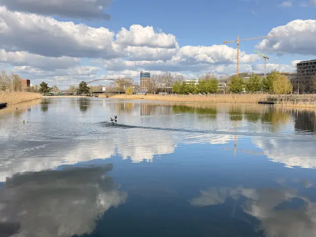 Frühlingswetter am Karlssee - kalt und doch so schön | Foto: Heide Böllinger aus Bad Friedrichshall 