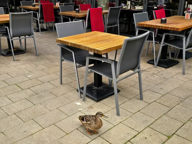 gibt's heute nichts zu essen? | Foto: Heidrun Rosenberger 