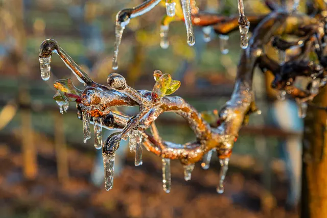 Nochmals für die Galerie - Eisregen 4 | Foto: Egon Groß
