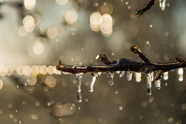 Nochmals für die Galerie - Eisregen 5 | Foto: Egon Groß