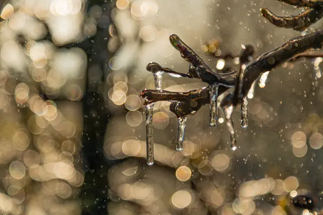 Nochmals für die Galerie - Eisregen 7 | Foto: Egon Groß
