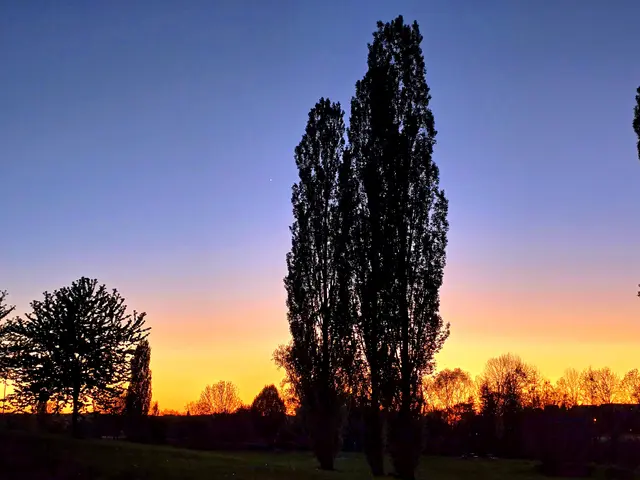 Foto: Heidrun Rosenberger 