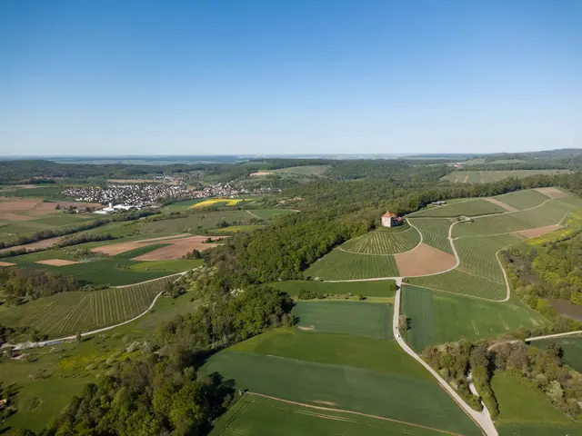 Foto: Ulrich Seidel